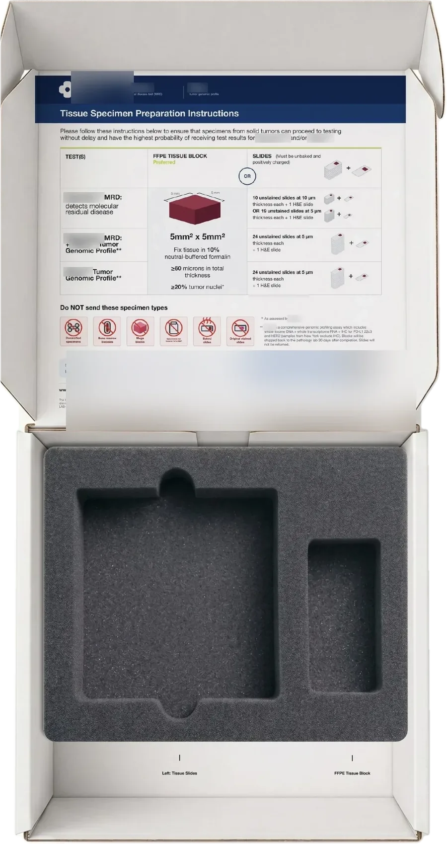 The insert with both cavities empty, showing the two shapes cut into the foam.